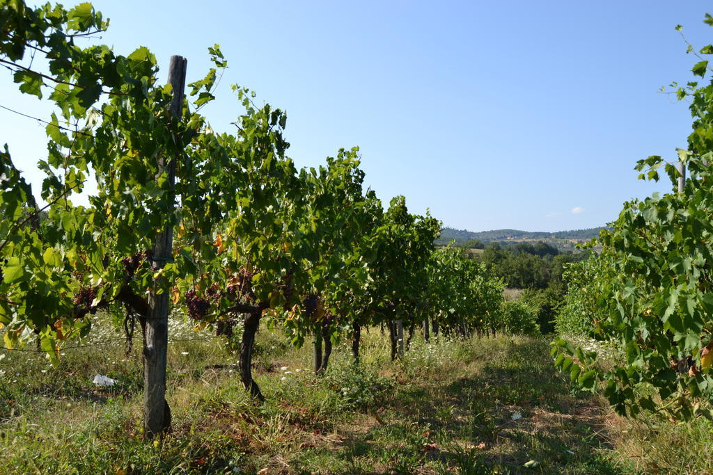 Agriturismo La Querce Rignano sullʼArno Exteriör bild