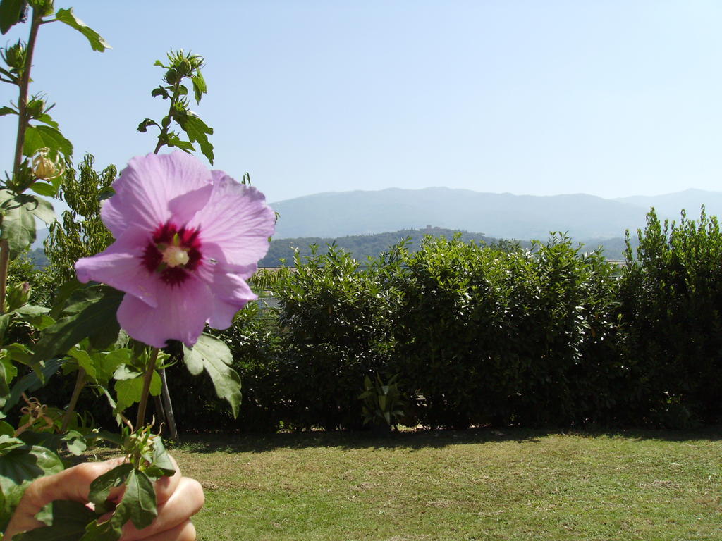 Agriturismo La Querce Rignano sullʼArno Exteriör bild